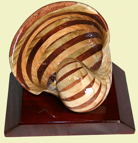 Wood Nautilus Shell